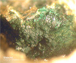 Odenwald Mineralien Reichenbach 14.0 Malachit