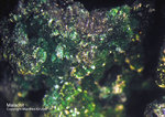 Odenwald Mineralien Reichenbach 14.0 Malachit