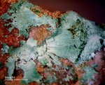 Odenwald Mineralien Reichenbach 14.0 Malachit