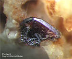 Odenwald Mineralien Reichenbach 14.0 Pucherit