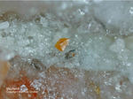 Odenwald Mineralien Reichenbach 14.0 Wulfenit