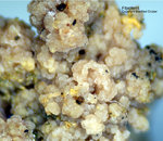 Griechenland Lavrion Mineralien Christiana Fibroferrit
