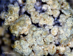Griechenland Lavrion Mineralien Christiana Fibroferrit