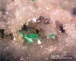 Odenwald Mineralien Reichenbach 16.1 Agardit