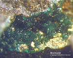 Harz Mineralien Ochsenhütte Brochantit