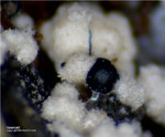 Eifel Mineralien Graulei Haematit