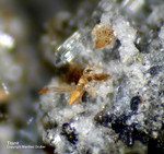 Eifel Mineralien Wingertsberg Titanit