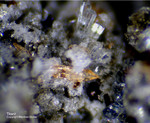 Eifel Mineralien Wingertsberg Titanit