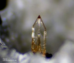 Eifel Mineralien Wingertsberg Titanit