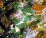 Griechenland Mineralien Christiana Adamin-Cu