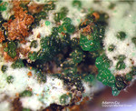 Griechenland Mineralien Christiana Adamin-Cu