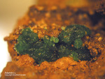 Griechenland Mineralien Christiana Adamin-Cu