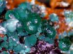 Griechenland Mineralien Christiana Adamin-Cu