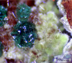 Griechenland Mineralien Christiana Adamin-Cu