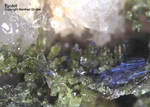 Harz Mineralien Gabbro Epidot