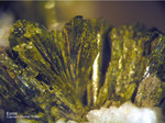 Harz Mineralien Gabbro Epidot