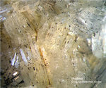 Harz Mineralien Gabbro Prehnit