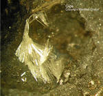 Harz Mineralien Kartoffelacker Gips