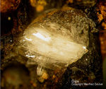 Harz Mineralien Kartoffelacker Gips