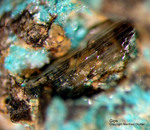 Harz Mineralien Kartoffelacker Gips