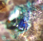 Harz Mineralien Schlackental Linarit