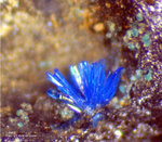 Harz Mineralien Schlackental Linarit