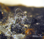 Harz Mineralien Schlackental Melanterit