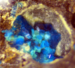 Harz Mineralien Schlackental Posnjakit