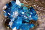 Harz Mineralien Schlackental Posnjakit