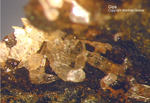 Harz Mineralien Frau Sophienhütte Langelsheim Gips