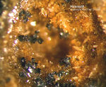 Eifel Mineralien Niveligsberg Haematit