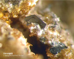 Eifel Mineralien Niveligsberg Haematit