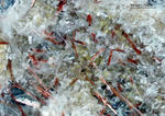 Mineralien Eifel Emmelberg Mangani-Obertiit