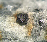 Mineralien Eifel Mendig Granat