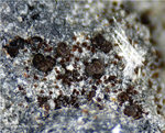 Eifel Mineralien Wingertsberg Andradit