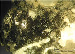 Odenwald Mineralien Reichenbach 16.1 Biotit