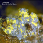 Odenwald Mineralien Reichenbach 16.1 Calcedon