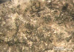 Mineralien Eifel Bellerberg Ägirinaugit