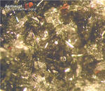 Mineralien Eifel Bellerberg Ägirinaugit