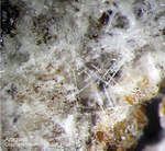 Mineralien Eifel Bellerberg Aragonit