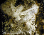 Mineralien Eifel Bellerberg Aragonit