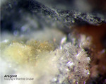 Mineralien Eifel Bellerberg Aragonit