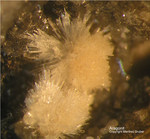Mineralien Eifel Bellerberg Aragonit