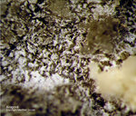 Mineralien Eifel Bellerberg Aragonit