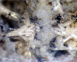 Mineralien Eifel Bellerberg Aragonit