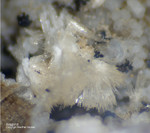 Mineralien Eifel Bellerberg Aragonit