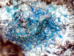 Eifel Mineralien Berzeliushütte Stolberg Langit
