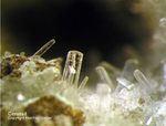 Mineralien Mansfelder Revier Kupferkammerhütte Hettstedt Cerussit