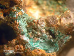 Mineralien Mansfelder Revier Kupferkammerhütte Hettstedt Brochantit