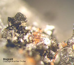 Mineralien Mansfelder Revier Kupferkammerhütte Hettstedt Magnetit